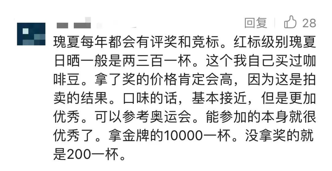 咖啡木的用途_北木咖啡_咖啡木头